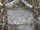 
Agnes NEILSON
May 17th
aged 3? years and 4 months

Goodna General Cemetery, Ipswich.

