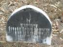 Gerard Bailie HAMILTON died 15 Oct 1915 aged 76 years;
Goodna General Cemetery, Ipswich.