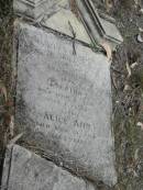 Charles OSMOND 52 years;
Edeatha died 4 April 1896 aged 4 years;
Alice Ann died 20 Apr aged 7 years;
Goodna General Cemetery, Ipswich.