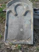 Beatrice daughter of Charles and Sarah TWEMLOW, Ma? 1898 aged 1 year 4 months;
Goodna General Cemetery, Ipswich.