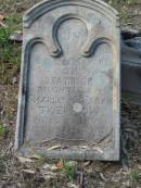 
Beatrice daughter of Charles and Sarah TWEMLOW, Ma? 1898 aged 1 year 4 months;
Goodna General Cemetery, Ipswich.
