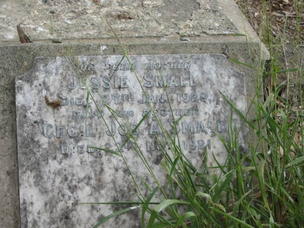 mother Jessie SMALL died 27 Jan 1929;  | brother Cecil Jos. A. SMALL died 22 Nov 1921;  | Goodna General Cemetery, Ipswich.  | 