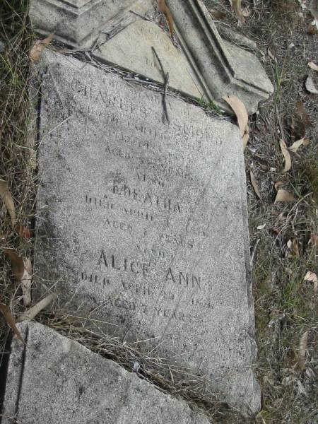 Charles OSMOND 52 years;  | Edeatha died 4 April 1896 aged 4 years;  | Alice Ann died 20 Apr aged 7 years;  | Goodna General Cemetery, Ipswich.  | 