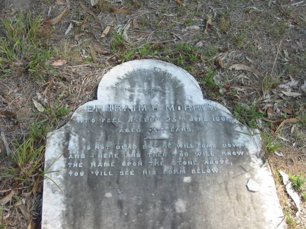 Ephraim H. MORROW died 25 June 1901 aged 36 years;  | Goodna General Cemetery, Ipswich.  | 