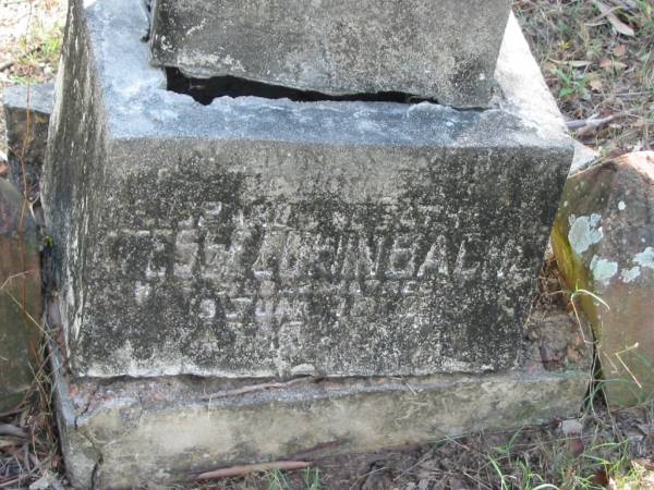 Jesse Edwin BACHE, died 18 June 1918;  | Goodna General Cemetery, Ipswich.  |   | [Source: Alan Lilley] Jesse Edwin BACHE died 18 June 1918 (QLD BDM). Wife: Eunice LILLEY.  | [Research contact: <a href= mailto:aslilley@bigpond.net.au >Alan Lilley</a>]  |   | 