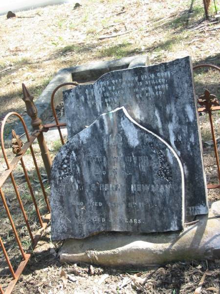 Thomas Henry NEWMAN died 11 Feb 1909;  | Goodna General Cemetery, Ipswich.  | 