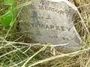 Amy MARKEY, died 30 Oct 1920 aged 29 years; Goomeri cemetery, Kilkivan Shire 