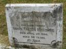 
Harry Falcon SECCOMBE,
father,
died 27 April 1936 aged 58 years;
Goomeri cemetery, Kilkivan Shire
