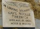 
Kaye Noelle FRIEDRICH,
died 21 Aug 1953 aged 8 weeks;
Goomeri cemetery, Kilkivan Shire
