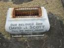 
David J. SCOTT,
husband father son,
accidentally killed 22 Oct 1949 aged 23 years;
Goomeri cemetery, Kilkivan Shire
