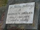 
Charles H. BRUNJES,
dad,
died 7 Dec 1965 aged 51 years;
Goomeri cemetery, Kilkivan Shire
