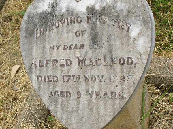 Alfred MACLEOD,  | son,  | died 17 Nov 1929 aged 9 years;  | Goomeri cemetery, Kilkivan Shire  | 