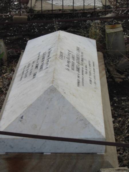 Reginald James,  | youngest son of James & Elizabeth F. LEMON,  | accidentally drowned King's Creek Pilton  | 20 Feb 1916 aged 17 years 4 months;  | Elizabeth Forbes,  | wife of James LEMON,  | died 22 Jan 1924 aged 55 years;  | Greenmount cemetery, Cambooya Shire  | 