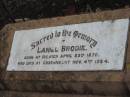 Daniel BRODIE, born Ipswich 23 April 1870, died Greenmount 4 Nov 1924; Greenmount cemetery, Cambooya Shire 