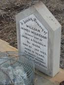 William James McGregor, eldest son of James & Isabella DAVIDSON, died 20 Sept 1923 aged 19 years; Greenmount cemetery, Cambooya Shire 