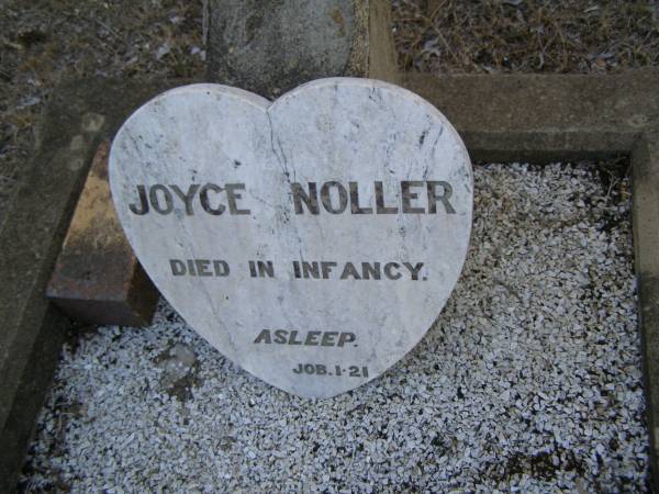 Joyce NOLLER,  | died in infancy;  | Greenwood St Pauls Lutheran cemetery, Rosalie Shire  | 