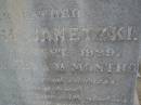 F. Wilhelm JANETZKI, father, died 11 Sept 1929 aged 37? years 11 months; Greenwood St Pauls Lutheran cemetery, Rosalie Shire 
