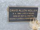 David Allen NOLLER, died 8-4-1960 lived 4 hours, son of Roy & Lynette; Greenwood St Pauls Lutheran cemetery, Rosalie Shire 