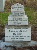 
Beatrice Kate
wife of A J HARRIS
24 Apr 1921
aged 37 yrs

husband
Arthur Jesse HARRIS
9 May 1966
83 yrs

St Matthews (Anglican) Grovely, Brisbane
