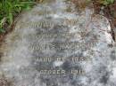 Bithiah Ann
(wife of Henry Thomas HALLIDAY)
B: 7 Jan 1859
D: 18 Oct 1912
St Matthews (Anglican) Grovely, Brisbane