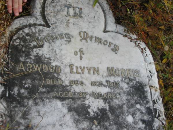 Arwood Elvyn MORRIS  | 16 Dec 1915  | aged 37  |   | St Matthew's (Anglican) Grovely, Brisbane  | 
