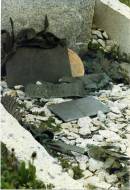 (sir) Ernest Henry SHACKLETON (explorer) born: 15 Feb 1974 died 5 Jan 1922 Grytviken Cemetery, South Georgia Island 