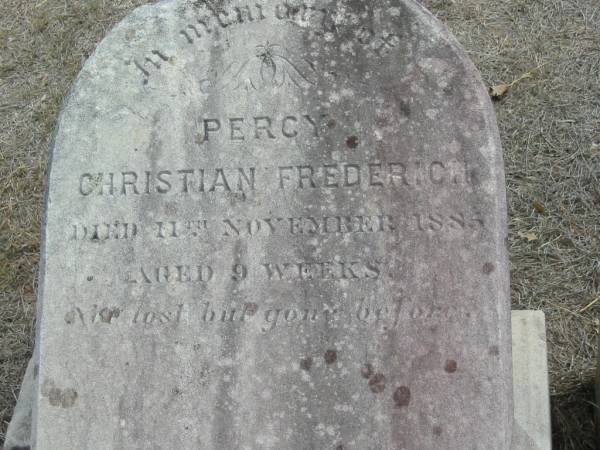 Percy Christian FREDRICH  | 11 Nov 1885 aged 9 weeks  | Haigslea Lawn Cemetery, Ipswich  | 