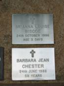 
Brianna Louise BISCOE
24 Oct 1996, aged 3 days
Barbara Jean CHESTER
24 Jun 1986, aged 58
Saint Augustines Anglican Church, Hamilton

