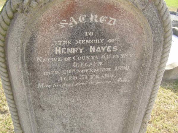 Henry HAYES  | native of County Kilkenny, Ireland  | d: 29 Nov 1890, aged 51  | Harrisville Cemetery - Scenic Rim Regional Council  |   | 