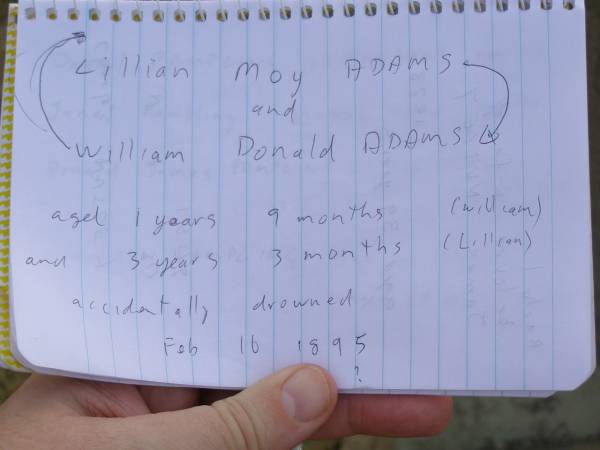 William Donald ADAMS  | d: 16 Feb 1895, aged 1 year 9 months  | Lillian Moy ADAMS  | d: 16 Feb 1895, aged 3 years, 3 months  | accidentally drowned  | Harrisville Cemetery - Scenic Rim Regional Council  | 