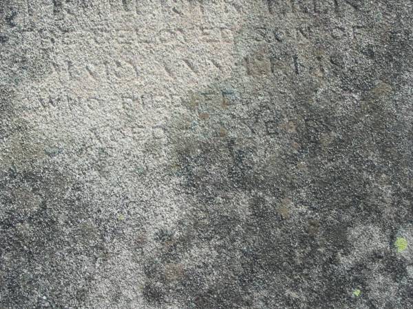 ??rter Nelly  | son of  | Mary Ann LE?IS  | d: Feb 1904?  | aged 2 years  |   | Harrisville Cemetery - Scenic Rim Regional Council  |   | 