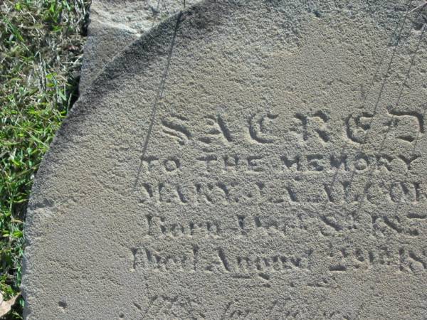 Mary LA ALCORN  | b: 8 ? 1856  | d: 2 August 1877  |   | Harrisville Cemetery - Scenic Rim Regional Council  |   | 