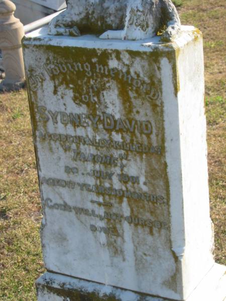Sydney DAVID  | died at Taromc, 20 Jul 1901, aged 17 yrs 10 mths  |   | Harrisville Cemetery - Scenic Rim Regional Council  | 
