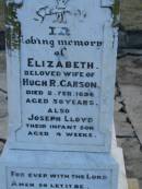 Elizabeth (CARSON) (wife of Hugh R CARSON) d: 2 Feb 1898, aged 30 Joseph Lloyd (CARSON) infant son, aged 4 weeks  Hugh H CARSON d: 26 Feb 1939, aged 80  Hugh Mc L CARSON d: (France) 29 May 1918, aged 23  Margaret (CARSON) (wife of William CARSON) d: 20 Sep 1900, aged 76  William CARSON d: 26 Aug 1907, aged 87  Alice Jane CARSON (daughter) d: 6 Oct 1932, aged 71  Harrisville Cemetery - Scenic Rim Regional Council 