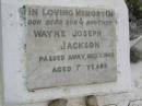 
Wayne Joseph JACKSON
d: 1 Dec 1968, aged 7 years
Harrisville Cemetery - Scenic Rim Regional Council
