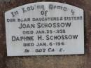 Joan SCHOSSOW d: 25 Jan 1938 Daphne H SCHOSSOW d: 6 Jan 1946  Harrisville Cemetery - Scenic Rim Regional Council 