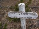 
Lily JENNESON
d: 14 Jul 1884

Harveys return Cemetery - Kangaroo Island

