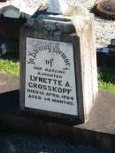 
Lynette A. GROSSKOPF, died 19 Apr 1954 aged 14 months, daughter;
St Pauls Lutheran Cemetery, Hatton Vale, Laidley Shire
