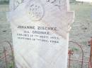 
Johanne ZISCHKE (geb GREINKE)
b: 17 Sep 1853,
d: 18 Dec 1902
Old Hatton Vale (Apostolic) Cemetery

