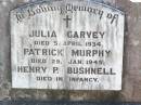 Julia GARVEY, died 5 April 1934; Patrick MURPHY, died 29 Jan 1945; Henry P. BUSHNELL, died in infancy; Helidon Catholic cemetery, Gatton Shire 