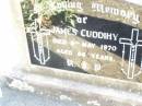 
James CUDDIHY,
died 8 May 1970 aged 86 years;
Helidon Catholic cemetery, Gatton Shire
