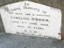 Conelius O'BRIEN, son brother, died 9 June 1952 aged 32 years; Helidon Catholic cemetery, Gatton Shire 