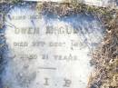 
Bridget MCGUIRK,
died 10 Feb 1891;
Owen MCGUIRK, son,
died 27 Dec 1893 aged 21 years;
Helidon Catholic cemetery, Gatton Shire
