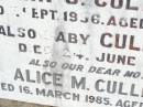 
John J. CULLINAN, husband father,
died 3 Sept 1956 aged 57 years;
baby CULLINAN,
died 24 June 1957;
Alice M. CULLINAN,
died 16 March 1985 aged 81 years;
Helidon Catholic cemetery, Gatton Shire
