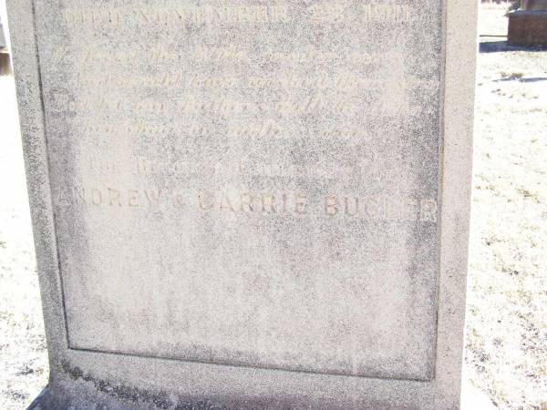 Henry BUGLER,  | born 18 Nov 1906 died 18 Nov 1911;  | Frank BUGLER,  | born 10 May 1910 died 23 Nov 1911;  | children of Andrew & Carrie BUGLER;  | Helidon Catholic cemetery, Gatton Shire  | 