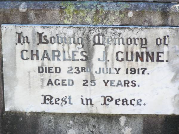 Charles J. GUNNE (Joe),  | died 23 July 1917 aged 25 years;  | Catherine GUNNE,  | died 21 April 1928 aged 66 years;  | Charles GUNNE,  | died 3 Jan 1936 aged 72 years;  | Patrick CRONIN (Paddie),  | died 29 June 1933 aged 4 years;  | Catherine CRONIN (Katie),  | died 11 Nov 1932 aged 37 years;  | Helidon Catholic cemetery, Gatton Shire  |   | 