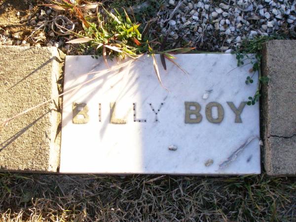 William Adrain (Billy Boy) CHERRY,  | baby son brother,  | born 13-7-39 died 8-11-41  | aged 2 years 4 months;  | Helidon Catholic cemetery, Gatton Shire  | 