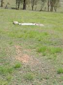 Helidon General cemetery, Gatton Shire