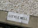 
Janelle (Nell) R. HEDGES,
daughter sister,
died 4 May 1957 aged 3 years;
Helidon General cemetery, Gatton Shire
