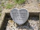 
John R. (Jackie) CONLEY,
died 21 May 1910 aged 3 years;
Helidon General cemetery, Gatton Shire
